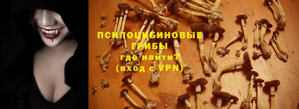 mdpv Бугульма
