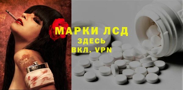 шишки Бородино