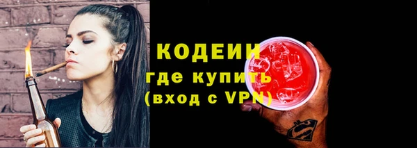 шишки Бородино
