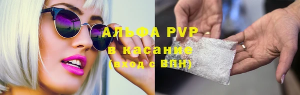 шишки Бородино