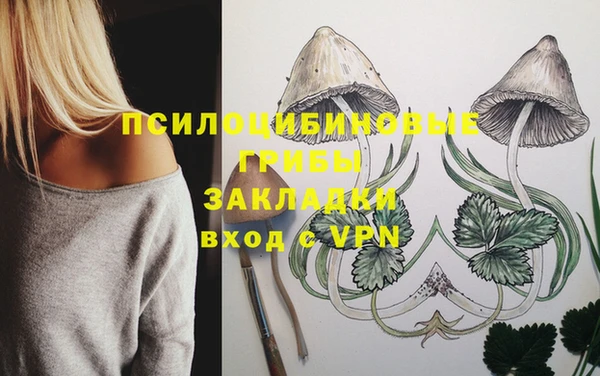 шишки Бородино