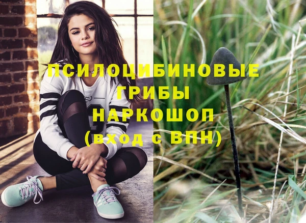 mdpv Бугульма