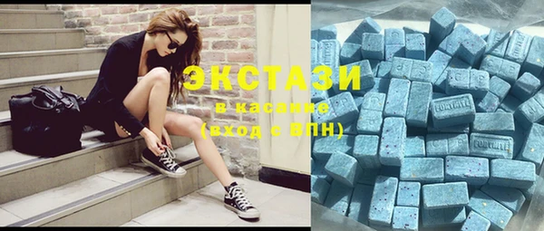 шишки Бородино