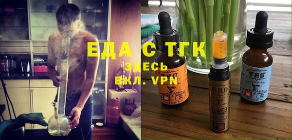 шишки Бородино