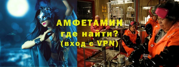 шишки Бородино