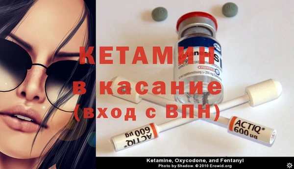 шишки Бородино
