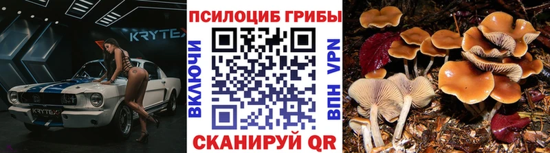 Псилоцибиновые грибы MAGIC MUSHROOMS  Трубчевск 